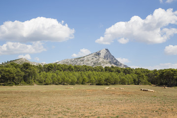 Mount Sainte Victoire in Provence, France