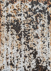Exfoliated old paint on metal plate