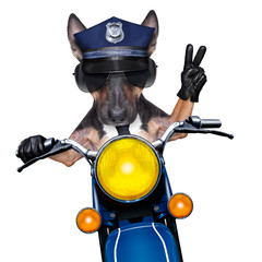 police dog motorbike