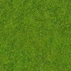 Deurstickers seamless grass © andreusK