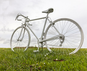 Old White Bicycle in a Field