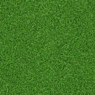 seamless grass texture