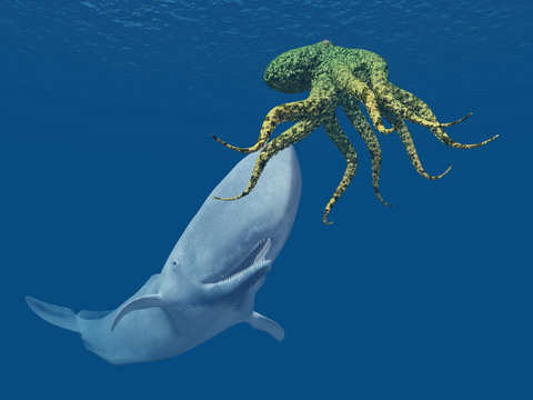 Sperm Whale attacks Octopus