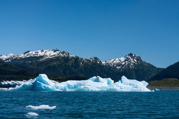 Iceberg in Alaska