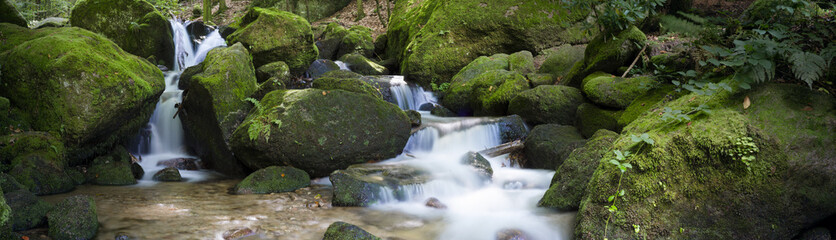 Schwarzwald, Wildbach