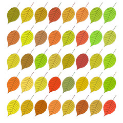 Background with autumn leaves. Raster