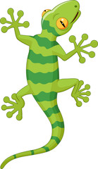 Cartoon gecko