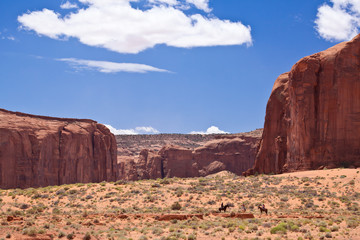 Fototapeta premium USA - horse riding in Monument valley