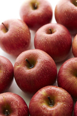 apples