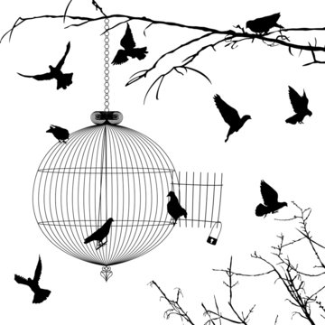 Cage and birds silhouettes