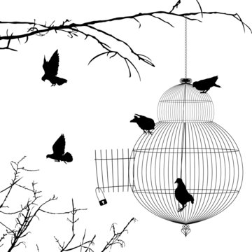 Open cage and birds silhouettes