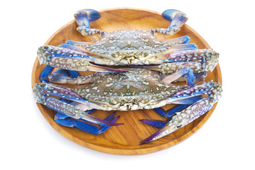 Blue crab