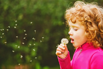 Beautiful little curly girl blowing dandelion, horizontal shot.