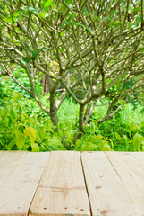 Place for object on wooden table with green summer background