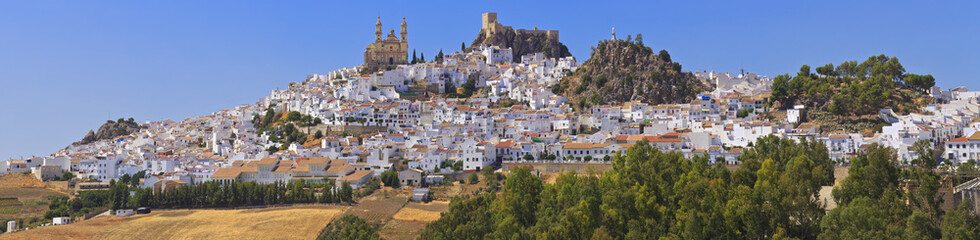 Fototapeta na wymiar View of Olvera, white village of the province of Cadiz