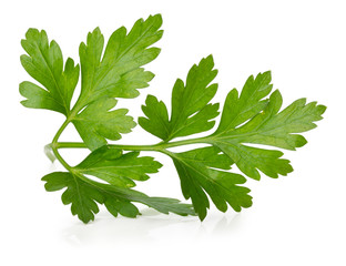 parsley leaves isolated on the white background