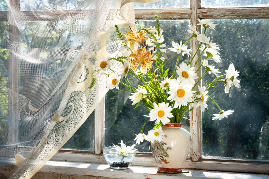 Fototapeta Fototapeta Bukiet kwiatów rumianku na parapecie w słoneczny dzień XL