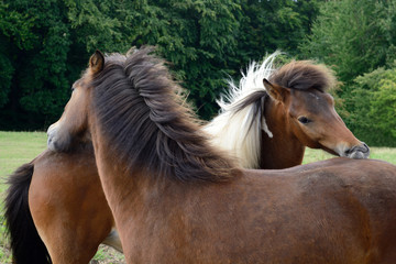 Obraz premium Pielęgnacja, q.