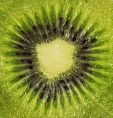 fresh Kiwi fruit sliced isolated on white background 
