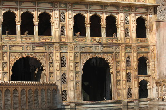 Galta Temple (or the Monkeys temple)