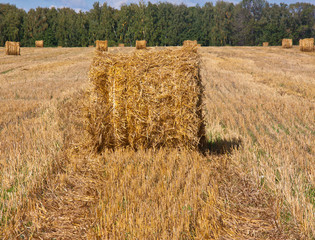 bales of hay