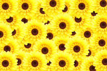 Artificial sunflower background (Helianthus annuus)