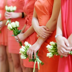 Row of bridesmaids with bouquets