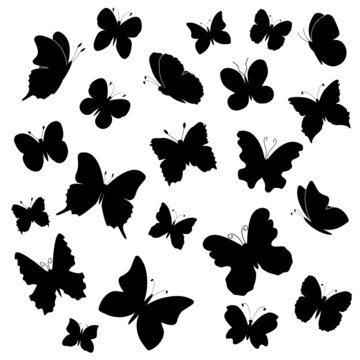 Butterflies silhouettes collection