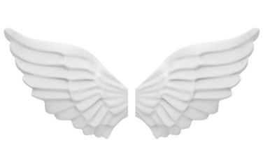 Fototapeta na wymiar the angel's wings