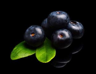 Macro closeup view blueberries leaves isolated black