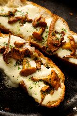 Bruschetta with  mushrooms, mozzarella cheese and parsley