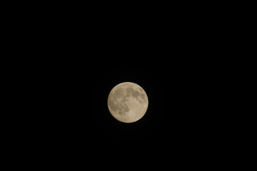 Closeup of full moon, taken on 11-07-2014.