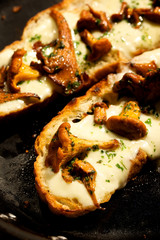 Chanterelle mushroom bruschetta