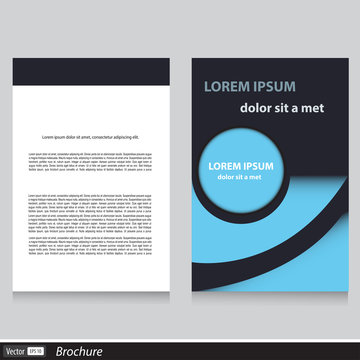 Vector business brochure template design with text