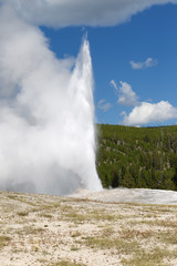 Old Faithful Geyser Erupting on Nice Summer Day