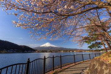 Mount Fuji in Spring