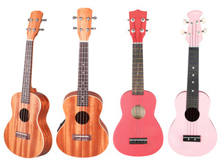 hawaiian guitar