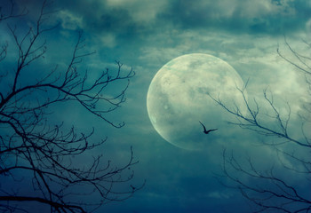 Halloween background