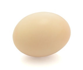 duck egg on white background