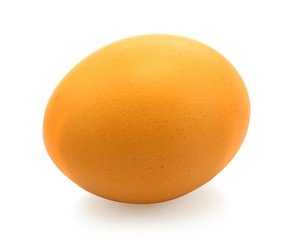 Brown chicken egg