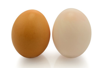 chicken and duck eggs on white background