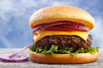 Fresh burger with red onions, blue sky background