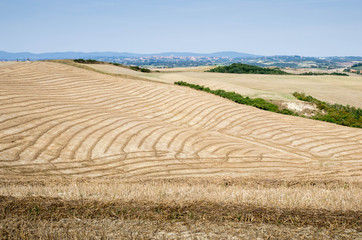 Toscane Crete Senesi