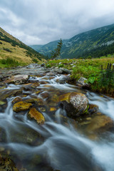 Fototapeta na wymiar Beautiful mountain stream and fir trees in the Alps