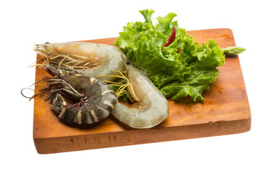 Tiger prawn