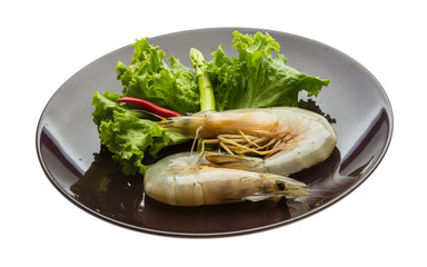 Tiger prawn