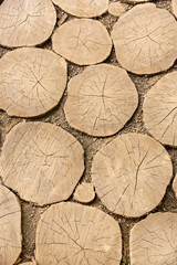Naklejka premium texture of the wood is photographed close-up