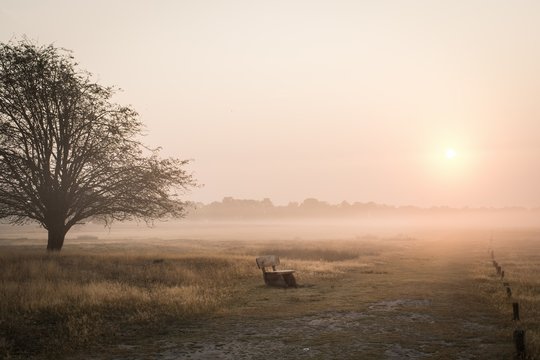 einsame Bank im Herbstnebel