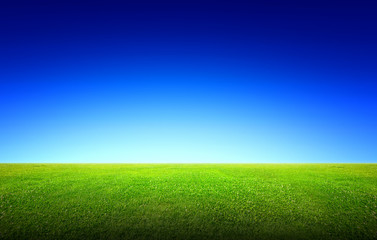 Obraz na płótnie Canvas Field of green grass and sky