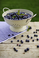 Fototapeta na wymiar Fresh blueberries from garden